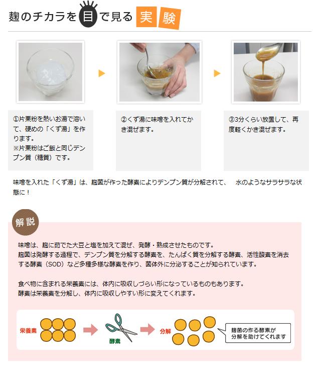 発酵食品片栗実験